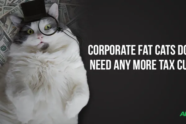 448-17-fat-cat_fb-share.png