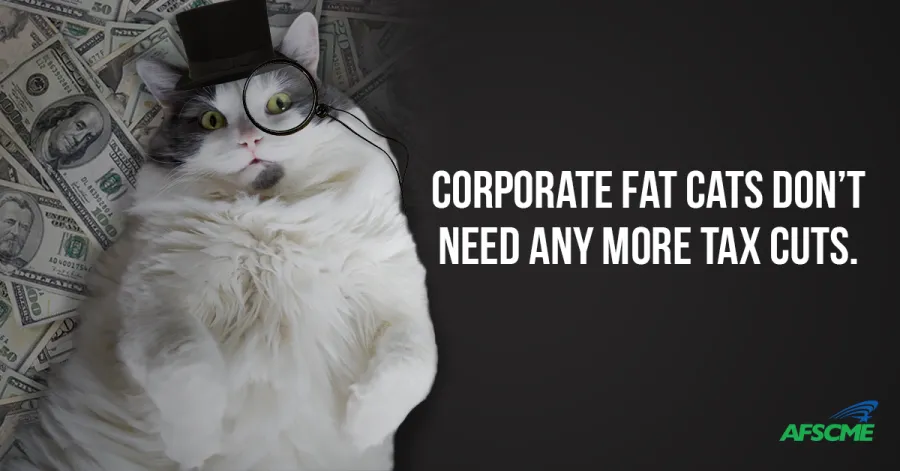448-17-fat-cat_fb-share.png